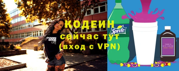 дмт Надым