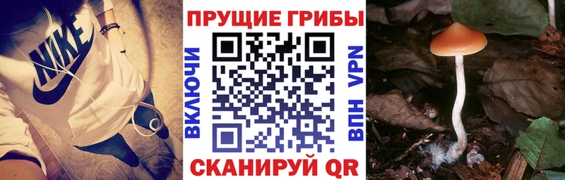 ОМГ ОМГ tor  наркота  Тюмень  Псилоцибиновые грибы ЛСД 